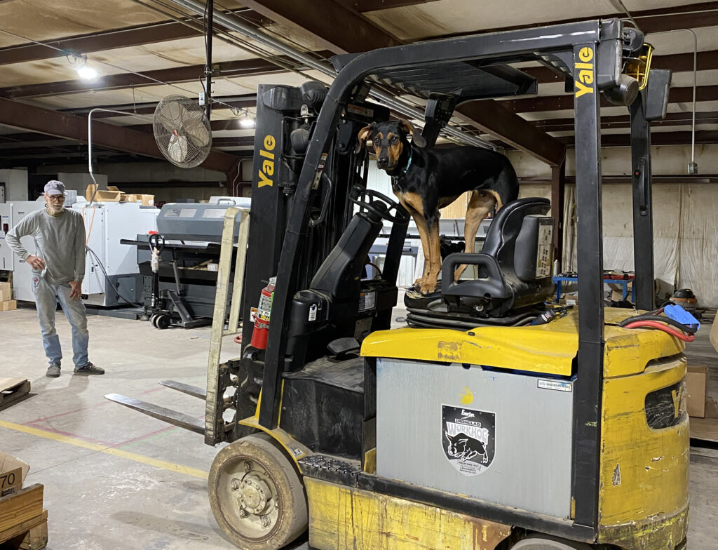 shop-dog-on-forklift