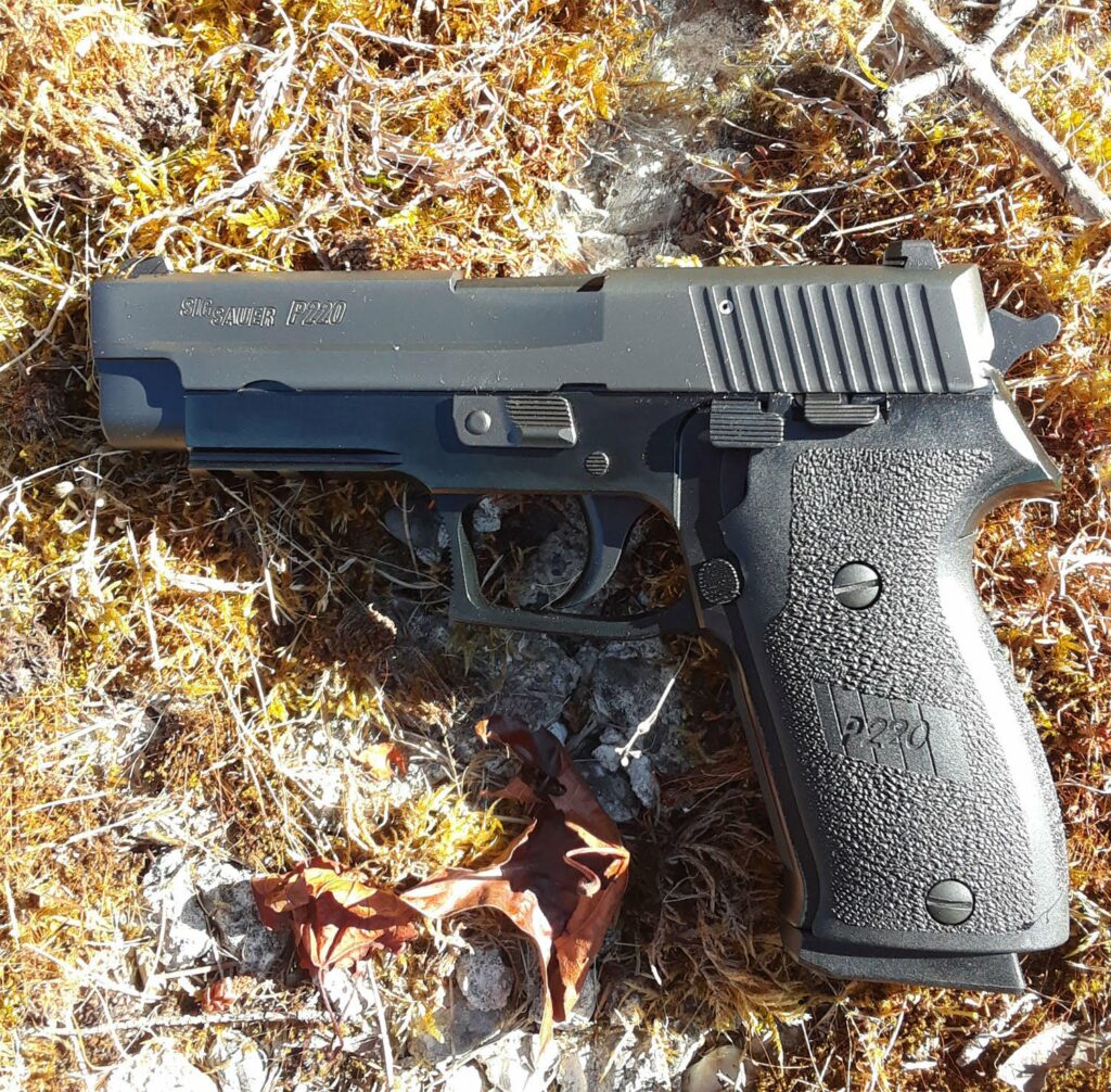 Lower Parts that Differ Between Sig Sauer P220 and Sig Sauer P226/P228/P229